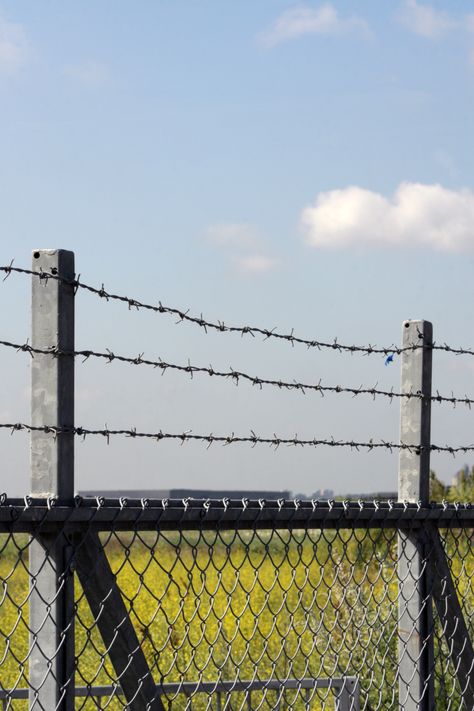 We stock a comprehensive range of anti-vandal scaling barrier (AVSB) to suit any requirement. Our choice of fence spikes includes Spin Guard anti-climb system and Raptor security spikes, razor barb & barbed wire, are all designed to suit any appearance and security fencing option Egypt Games, Security Fencing, Wire Fencing, Barbed Wire Fencing, Security Fence, Metal Spikes, Wire Fence, Barbed Wire, Elements Of Design