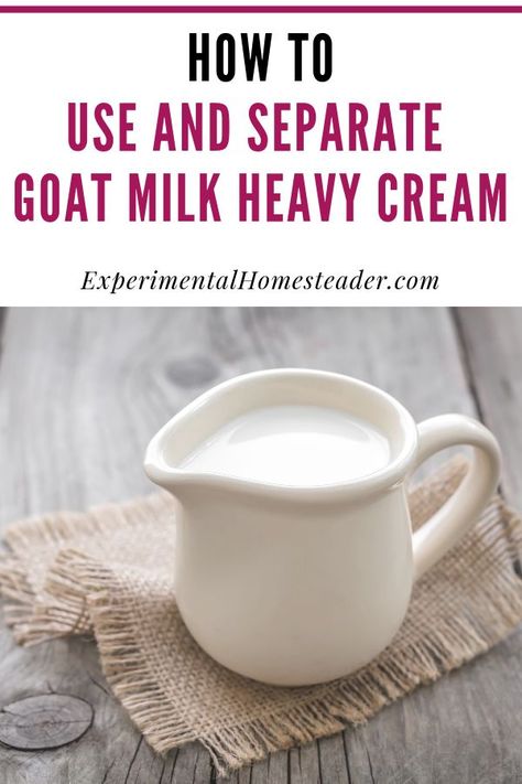 Learn how to use and separate goat milk heavy cream even if you do not have a cream separator. Heavy cream is used in a lot of recipes and can be frozen. #goatmilkheavycream #howtomakeheavycreamfromgoatmilk #heavycream #goatmilk Goat Milk Butter Recipe, What To Do With Goat Milk, Raw Goat Milk Recipes, Goat Milk Cream Cheese, Goat Milk Uses, What To Do With Goats Milk, Goat Milk Mozzarella Recipe, Goats Milk Recipes, Goat Milk Butter