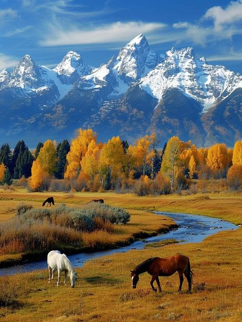 Country Views Photography, Country Scenes Farms Landscapes, Autumn Scenery Landscape, Western Art Ideas, Mountain Reference, Yellowstone Landscape, America Scenery, American Mountains, Montana Scenery