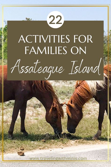 Assateague Island is a family-friendly destination that offers a plethora of activities that cater to all ages and interests. Whether you want to relax on the beach, explore the island's unique wildlife, or enjoy thrilling outdoor adventures, discover 22 amazing things to do with your family on Assateague Island. Family Bucket List, Assateague Island National Seashore, Assateague Island, Traveling Ideas, Bucket List Family, Dream Trips, Family Vacay, Sea To Shining Sea, Rehoboth Beach