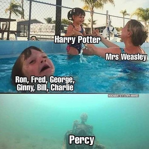 Citate Harry Potter, Glume Harry Potter, Potter Wallpaper, Memes Harry Potter, Funny Harry Potter Jokes, Harry Potter Memes Hilarious, Harry Potter Puns, Funny Harry Potter, Harry Potter Feels