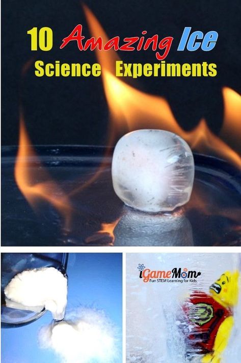 Amazing ice science experiments that your kids will ask for more! Grow instant hot ice, dry ice bubble, ice melting with salt, ... Especially love the one that you also get to eat some! Cool STEM learning activities for winter or summer for kids from preschool to school age Summer Science Experiments, Vetenskapliga Experiment, Winter Stem Activities, Science Demonstrations, Amazing Science Experiments, Winter Science, Summer Science, Education Positive, Kid Experiments