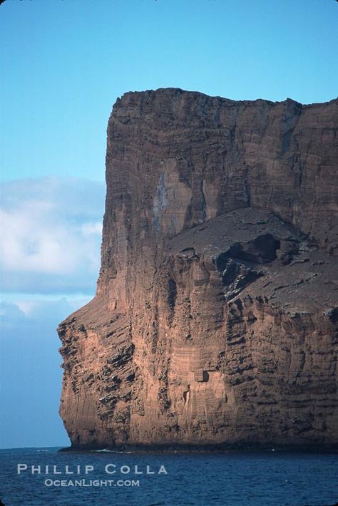 Isla Afuera eastern cliffs. Guadalupe Island (Isla Guadalupe), Baja California, Mexico, natural history stock photograph, photo id 02390 Guadalupe Island, Environment Reference, Baja California Mexico, Natural History, Mother Nature, Bucket List, California, Collage, History