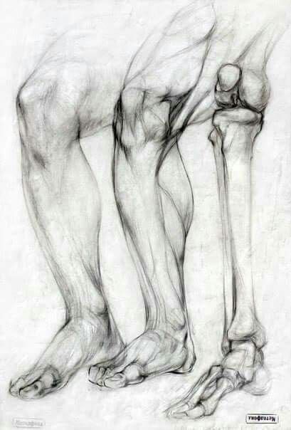 Bone Drawing, Leg Anatomy, Anatomy Bones, Drawing Legs, Academic Drawing, Human Anatomy Drawing, Human Figure Drawing, Human Anatomy Art, Anatomy Sketches