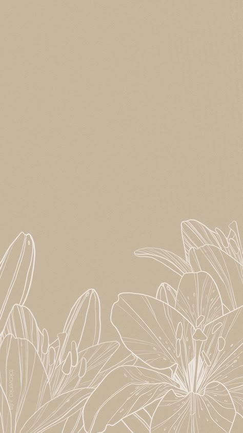 Lilly Flower Wallpaper Iphone, Minimalistic Floral Wallpaper, Lily Flower Aesthetic Drawing, Lilly Wallpaper Flower, Lily Flower Wallpaper Iphone, Lily Iphone Wallpaper, Lily Flower Aesthetic Wallpaper, Lily Aesthetic Wallpaper, Lily Wallpaper Aesthetic