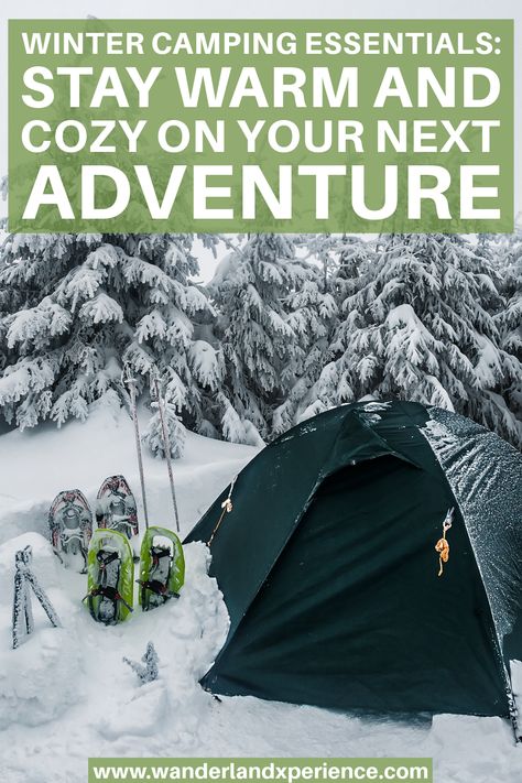 Discover the must-have gear and tips for a comfortable winter camping experience. Don't let the cold stop you from exploring nature's wonders. Click to learn more and start planning your winter escape today! Winter Camping Essentials, Winter Camping Hacks, Camping In Winter, Dog Hiking Gear, Cold Weather Hacks, Dog Camping Gear, Best Small Dog Breeds, Best Small Dogs, Emergency Food Storage