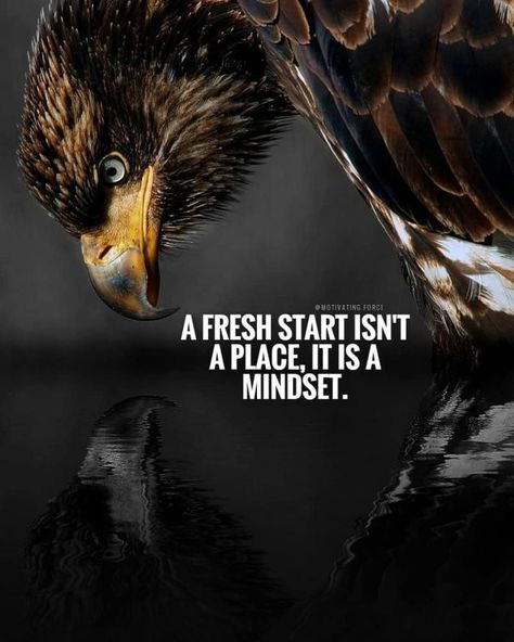 Eagles Quotes, Quotes Motivation Success, Life Quotes Relationships, The Success Club, Lion Quotes, Absence Quotes, Completion Quotes, Quotes Philosophical, Millionaire Minds