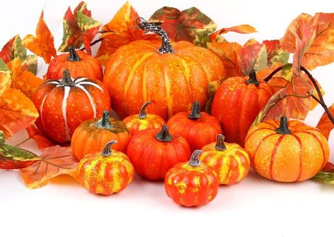 These Foam Pumpkins are excellent for crafting. They come in different colors too. The orange is nice if you want to put fake flower and leaf combinations poking through the top like a bouquet. I like to set them as centerpieces on the table and sometimes on the front stoop as well. They orange is more decorative already, but you can still paint them with acryllic paint too! Orange Photography, Biggest Pumpkin, Large Pumpkins, Fake Pumpkins, Cinderella Pumpkin, Fall Art Projects, Orange Table, Plastic Pumpkins, Artificial Pumpkins