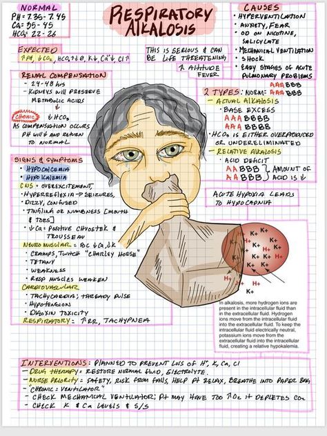 Respiratory Alkalosis #medschool #doctor #medicalstudent - Image Credits: Vianey Arellano Respiratory Therapy Notes, Respiratory Therapy Student, Respiratory Alkalosis, Nursing School Studying Cheat Sheets, Nursing School Life, Paramedic School, Metabolic Acidosis, Nursing School Essential, Nursing School Motivation