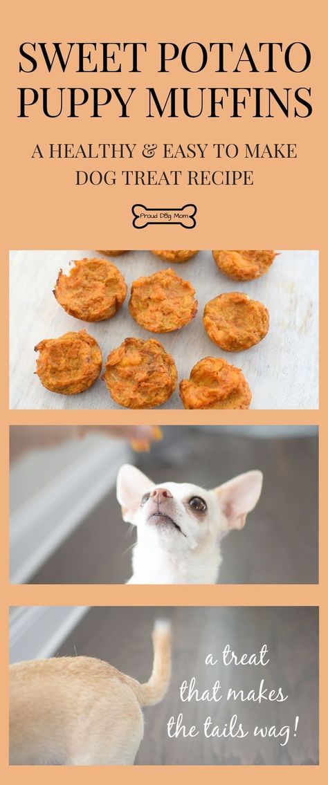 Gluten Free Dog Treats, Homemade Dog Cookies, Dogs Treats, Sweet Potato Dog Treats, Dog Treat Recipe, Dog Treats Grain Free, Dog Biscuit Recipes, Sweet Potatoes For Dogs, Dog Treats Homemade Recipes