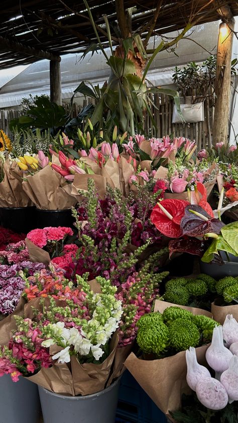 Oranjezicht City Farm Market, Capetown City Aesthetic, Stool Aesthetic, Summer Sun Aesthetic, Market Aesthetic, Nyc City, Sun Aesthetic, City Farm, Travel City