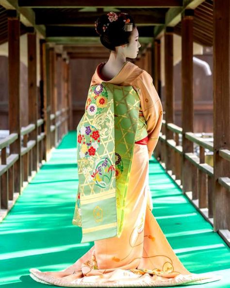 Geisha Dress Traditional Kimono, Japanese Kimono Traditional, Outfits Japanese, Mononoke Anime, Kimono Geisha, Geisha Kimono, Japanese Culture Art, Kimono Traditional, Japanese Traditional Clothes