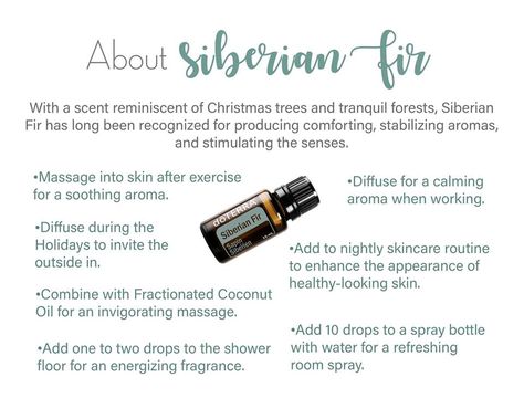 All about #doterra Siberian Fir! Siberian Fir Doterra, Fur Oil, Terra Essential Oils, Doterra Blends, Siberian Fir, Doterra Oil, Doterra Business, Essential Oils Guide, Counseling Office