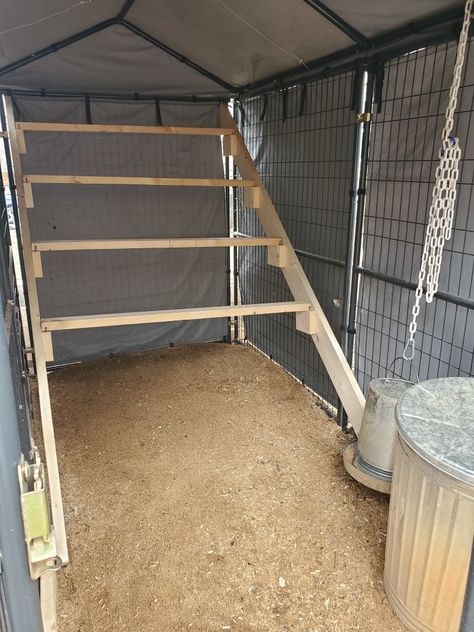 Dog Run Chicken Coop, Chicken Coop Dog Kennel, Dog Kennel Chicken Coop, Kennel Chicken Coop, Chicken Roost, Walk In Chicken Coop, Build A Dog House, Dog Run, Backyard Chicken Coop Plans