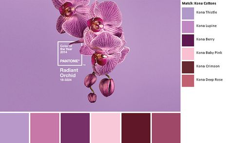 Pantone 2014 Radiant Orchid Kona palette | Flickr - Photo Sharing! Heart Quilts, Purple Cards, Orchid Color, Orchid Purple, Radiant Orchid, Theme Color, Purple Orchids, Design Seeds, Heart Quilt