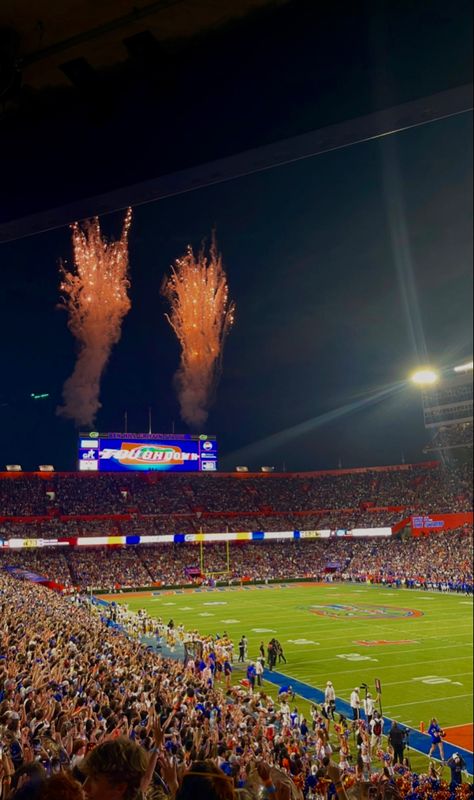 gamedays at university of florida Uf Football, Volleyball Stuff, Colleges In Florida, Dream College, Dream School, University Of Florida, Florida Gators, 2024 Vision, South Florida