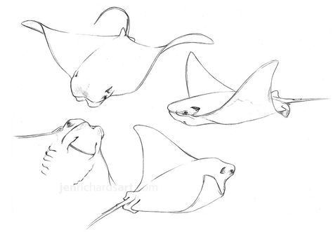 Beautiful cownose ray sketches Simple Manta Ray Drawing, Manta Ray Reference, Cownose Sting Ray Tattoo, Stingray Line Drawing, Cownose Stingray Tattoos, Simple Stingray Drawing, Bat Ray Tattoo, Manta Ray Doodle, Stingray Tattoo Simple