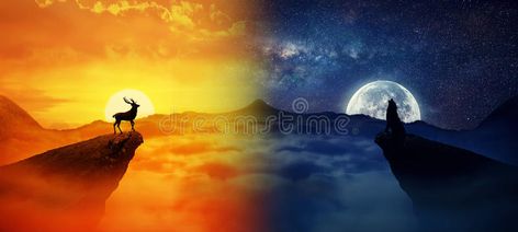 Day vs night. Silhouette of a lonely deer and a howling wolf standing on differe #Sponsored , #Paid, #PAID, #Silhouette, #Day, #standing, #lonely Day Vs Night, Wolf Standing, Night Moon, Howling Wolf, Plastic Art, Fabric Wall Art, Screen Saver, Vintage Graphic Design, Wolf Howling