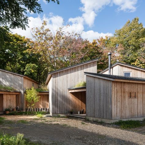 House in Tokiwa by Makoto Suzuki Simple Cabins, Cheap Building Materials, Timber Cabin, Live Work Space, Timber Walls, Small Courtyards, Nature Architecture, Japanese Architect, Wood Cladding