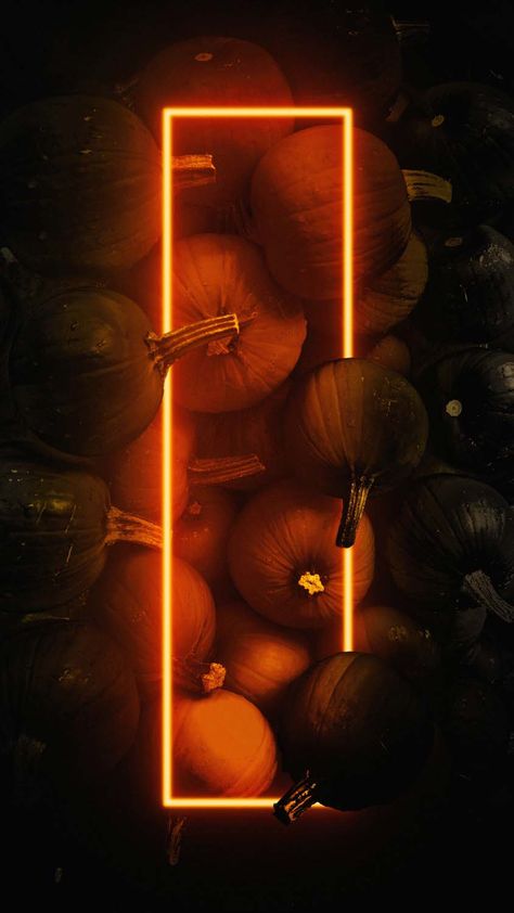 Pumpkin Neon Halloween IPhone Wallpaper HD - IPhone Wallpapers : iPhone Wallpapers Neon Halloween Wallpaper Iphone, Hollowen Wallpaper, Neon Halloween Wallpaper, Ipad Halloween Wallpaper, Fall Homescreen Wallpaper, Goth Wallpapers, Neon Pumpkin, Elf Is Back Ideas, Halloween Iphone Wallpaper