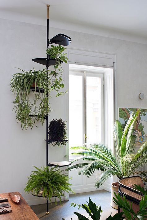 Plant Storage, Hanging Plant Wall, Plants Ideas, Vertical Gardens, Interior Plants, House Plants Decor, Plant Shelves, Climbing Plants, Plant Design