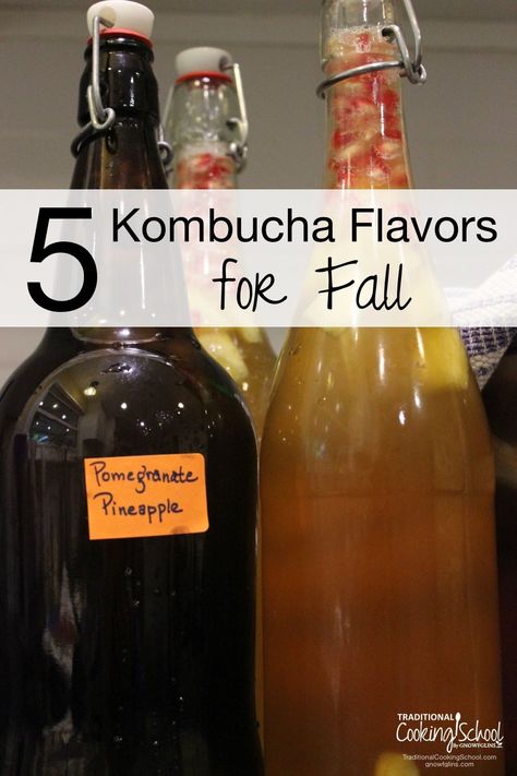 Homemade Kumbacha, Kombucha Flavours, Heathy Drinks, Fermented Beverages, Making Kombucha, Ginger Kombucha, Kombucha Recipes, Kombucha Flavors, Detox Tea Cleanse