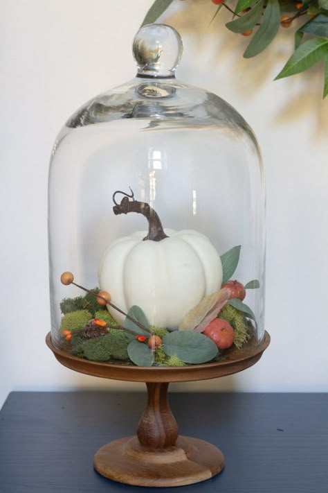 Deconstructed Modern Fall Wreath | DeeplySouthernHome Fall Cloche Ideas, Cloche Ideas, Glass Cloches, Cloche Decor, Creative Pumpkin Decorating, Decoration Shabby, Tafel Decor, Creative Pumpkins, Faux Pumpkins