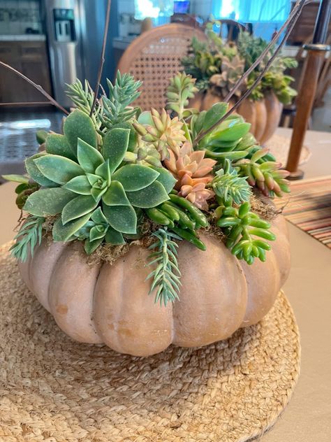 DIY Pumpkin Succulent Centerpiece - Sarah Grace at Home Pumpkin Succulent Centerpiece, Pumpkin Centerpieces Diy, Fall Centerpieces Diy, Decoupage Pumpkins, Pumpkin Floral Arrangements, Time Craft, Succulent Centerpiece, Succulent Pumpkin, Fall Pumpkin Centerpieces