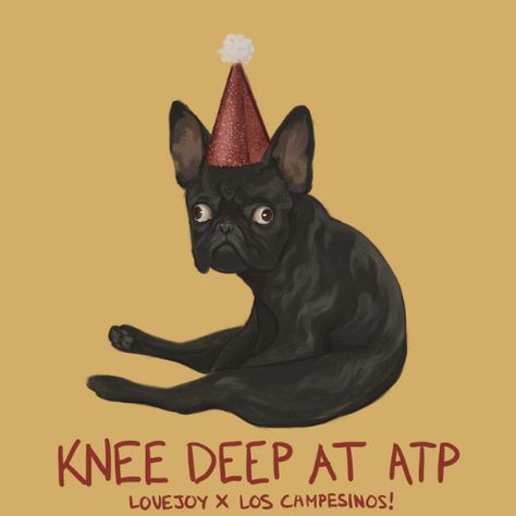 Lovejoy los Campesinos Yellow Orange Cat Dream Smp Knee Deep At Atp, Mc Wallpaper, Indie Rock, Dream Team, Music Poster, Ukulele, Album Covers, Pixel Art, Poster Design