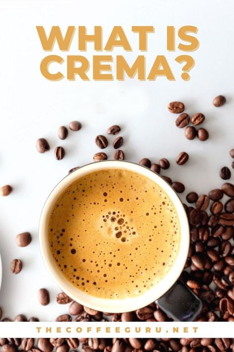 What Is Crema? - The Coffee Guru. Crema is the delicious, fragrant, ruddy earthy coloured foam that lays over top of a cup of coffee, usually on a shot of espresso. Coffee crema is formed when air bubbles are mixed with the oils of the coffee. People often allude to this creation as the “Guinness Impact” since it emulates the head of a poured Irish stout. #coffee #coffeedrinks #coffeecrema #crema #coffeerecipes #coffeeblog Barista Recipe, Coffee Counter, Coffee Brewing Methods, Shot Of Espresso, Coffee Board, Coffee Hacks, Coffee Facts, Coffee Blog, Coffee Today