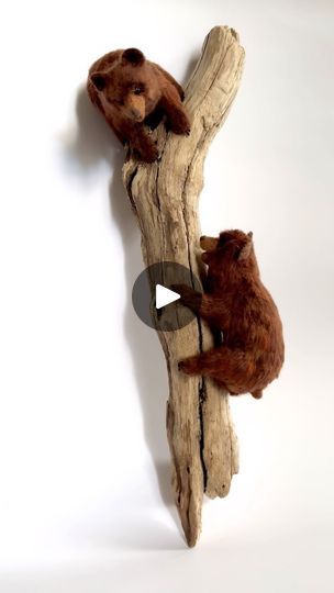 The evolution of a needle felted bear sculpture. I am trying to depict the joy of playing. Do you think they look happy climbing on their tree?  #needlefelt #needlefelting #animalart #animalsculpture #needlefeltedanimal #woolfelt #feltingwool #fiberart #artprocess #bear #realisticart #chsarts | Wooly Wildlife | Isaintjames · Things Are Brewing Felted Bear, Bear Sculptures, I Am Trying, Needle Felted Animals, Realistic Art, Process Art, Animal Sculptures, Needle Felted, Needle Felting