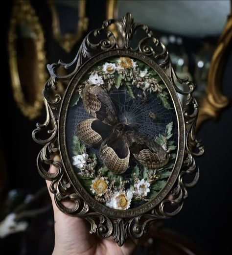 Goth moth frame 2.0 Available on May 10th at 6pm PST! Siberian Owl Moth, real preserved orb weaver web, honeybees, and dried florals in a vintage frame. Goth Taxidermy, Moth Frame, Butterfly Pinning, Diaphonized Specimens, Oddities Art, Moth Taxidermy, Owl Moth, Goth Moth, Oddities Decor