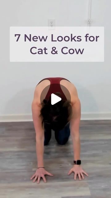 Cat Cow Yoga Pose, Begginers Yoga, Flexibility Stretches, Floor Yoga, Yoga Vibes, Upper Body Stretches, Cat Cow Pose, Quick Yoga, Cat Cow