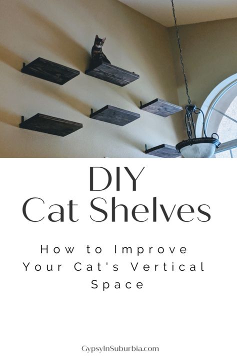 diy cat shelf playground Diy Cat Wall, Diy Cat Shelves, Katt Diy, Cat Climbing Wall, Katt Grejer, Kat Diy, Cat Entertainment, Cat Shelf, Cat Wall Shelves