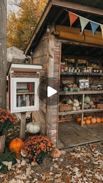 Pumpkin Farm Stand Ideas, Pumpkin Farm Stand, Roadside Farm Stand Ideas, Pumpkin Stand, Roadside Stand, Pumpkin Stands, Farm Living, Stand Ideas, Pumpkin Farm