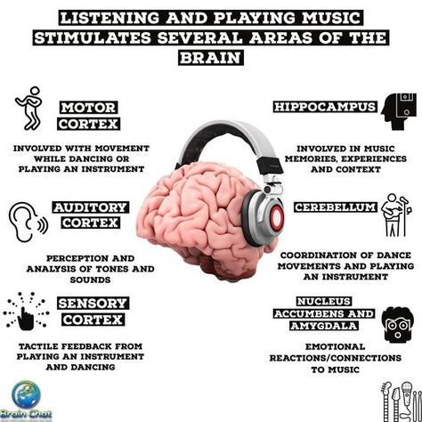 [Infographic] Listening and Playing Music... How Music Affects The Brain, Intro To Psychology, Health Awareness Poster, Music Medicine, Brain Icon, Music And The Brain, Creating Music, Sound Science, Psychology Notes