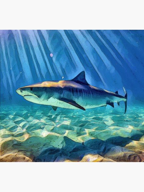 Shark Poster, Shark Painting, Shark Pictures, Shark Art, Tiger Shark, Under Water, Digital Art Design, Animal Skulls, Ocean Art