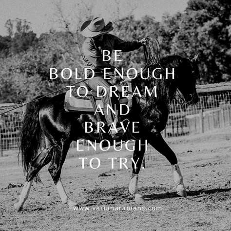 Horse Trainer Quotes, Country Women Quotes, Equestrian Motivation, Horsemanship Quotes, Quotes About Horses, Motivation Meme, Horse Woman, Rodeo Quotes, Equine Quotes