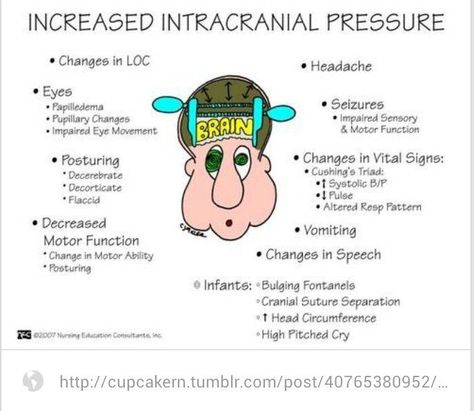 Increased intracranial pressure ~ signs and symptoms Nursing Neuro, Cushing Triad, Np School, Nurse Things, Paramedic School, Nurse Study, Intracranial Pressure, Lpn Schools, Nursing Mnemonics