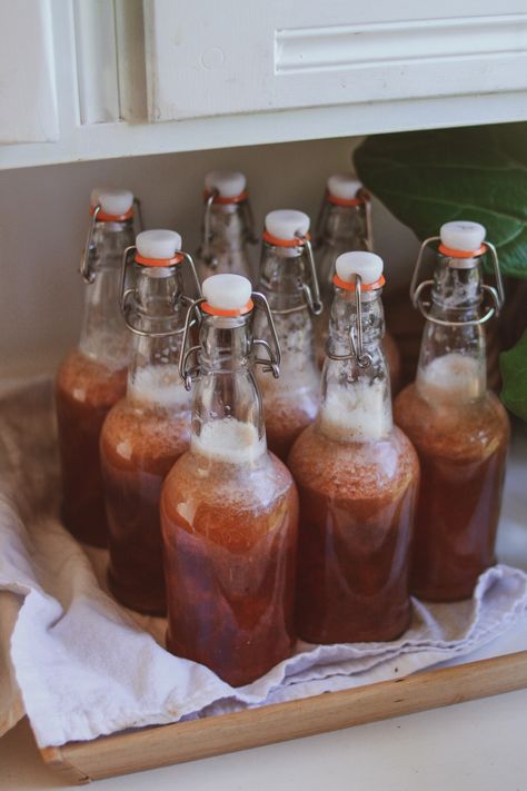 Kombucha Brewing, Rhubarb Kombucha Recipe, Strawberry Kombucha, Kombucha Aesthetic, Kombucha Second Ferment Recipes, What To Do With Extra Kombucha Scoby, Kombucha Bottles, Second Fermentation Kombucha Flavors, Kombucha Health Ade