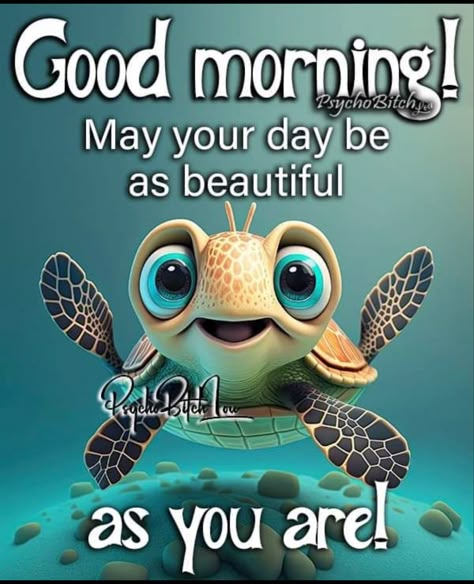 Good Morning Turtle, Simple Good Morning Texts, Simple Good Morning Texts For Him, Simple Good Morning, Good Morning Texts For Him, Morning Texts For Him, Turtle Images, Happy Day Quotes, Funny Day Quotes