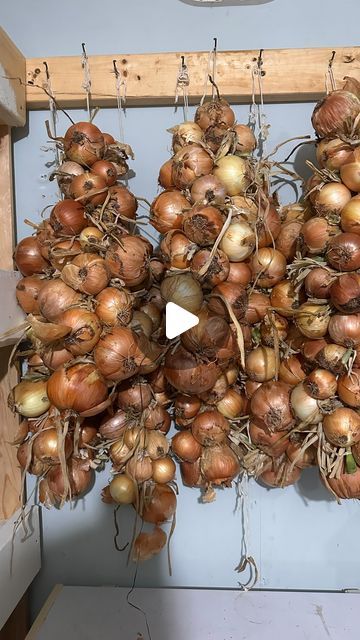 Braiding Onions, Allotment Ideas, Vegetable Garden Tips, Root Cellar, Gardening Books, Garden Harvest, Onion Recipes, Garden Yard Ideas, Natural Remedy