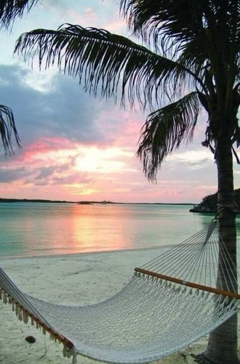 A hammock on the beach...so peaceful! #sumertime #beach #lovevacations                                                                                                                                                      More Photo Shop, I Love The Beach, Private Island, Summer Bucket Lists, Pretty Places, Seychelles, Vacation Spots, Sicily, Dream Vacations