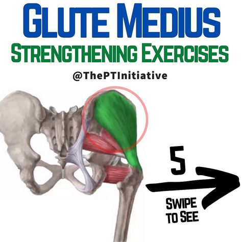 @rehabtips on Instagram: “Strengthen your Glute Medius! (Swipe Left to see All 5!) . 🤓The gluteus medius on one of your 3 glute muscles and plays an important role…” Glutes Medius Workout, Glutes Medius, Medius Workout, Hip Strength, Glute Medius, Glute Muscles, Gluteus Maximus, Gluteus Medius, Physical Therapy