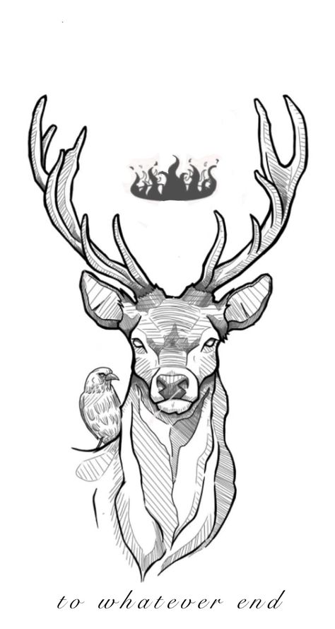 Deer Hunting Drawing, Deer Antlers Drawing, Drawing Of Deer, Buck Drawing, Dear Drawing, Stag Drawing, Antlers Drawing, Buck Tattoo, Reindeer Drawing