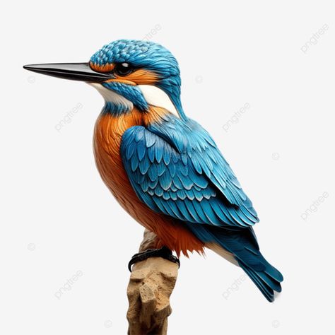 hyper realistic 3d rendering of a full body kingfisher kingfisher 3d bird png Kingfisher Illustration, Birds Png, 3d Bird, Bird Png, Cake Models, Kingfisher Bird, Transparent Image, Kingfisher, 3d Rendering