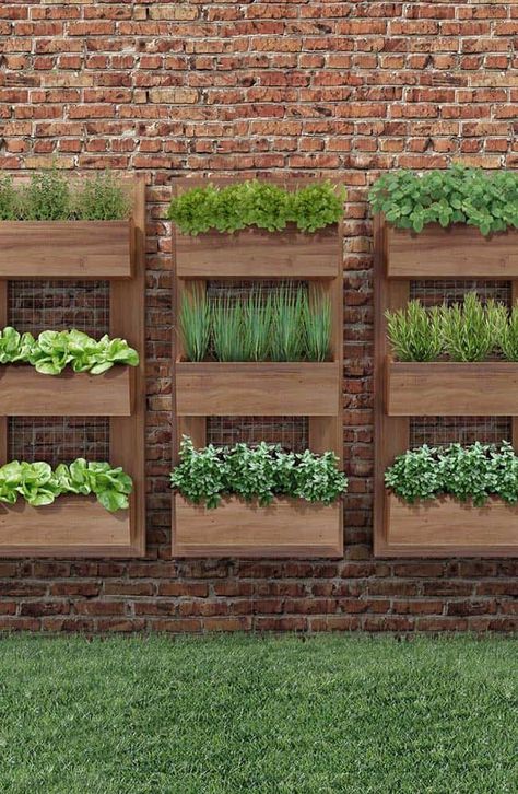 10 Home Photos of Vertical Gardens Vegetable Gardens Ideas, Vertical Vegetable Garden Design, Herb Garden Wall, Vertical Vegetable Gardens, Garden Bed Layout, Vertical Vegetable Garden, Gardens Ideas, Vertical Garden Wall, Full Sun Plants