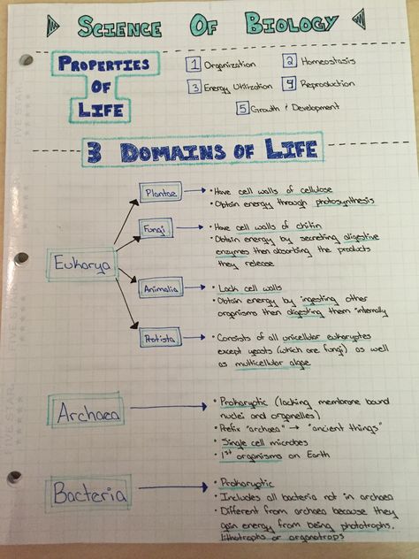 Properties of Life Taxonomy Biology Notes, Biology Lesson Plans, Notes College, Microbiology Study, Bio Notes, Biochemistry Notes, Biology College, Biology Resources, Study Biology