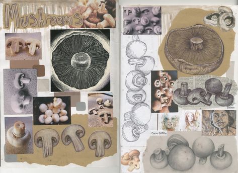 example of double page in sketchpad line/mushroom Fungi Art, Art College, Different Media, A Level Art, Concept Architecture, College Art, Art Sketchbook, Find Art, Concept Design