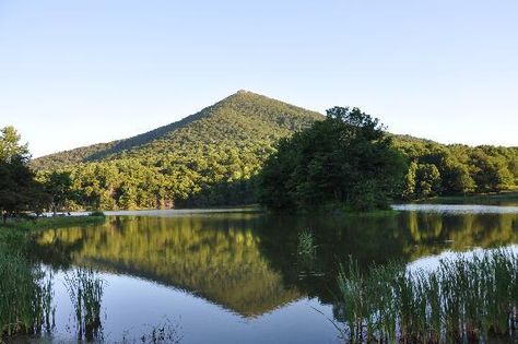 Have hiked Sharp Top Mountain & enjoyed Abbot Lake... Peaks Of Otter Virginia, Sandbridge Beach, Cow Pasture, Virginia Mountains, Virginia Vacation, Best Campgrounds, Honeymoon Spots, Mount Washington, Visitor Center